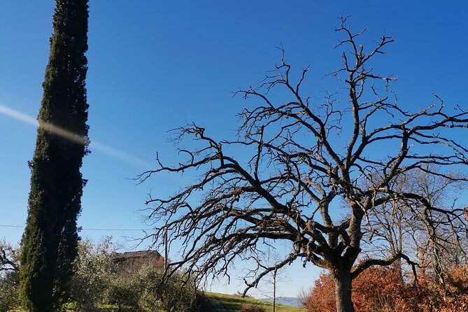 The spell of Lake Trasimeno - Trekking Tour - What the English Guidance Really Gives You