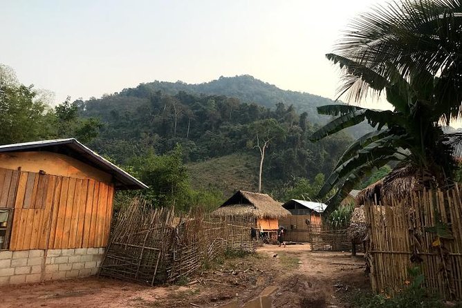 The Ultimate Hiker’s Choice - 5 days forest trek with homestay and camping - Day 3: salt licks, a calmer pace, and wildlife tension