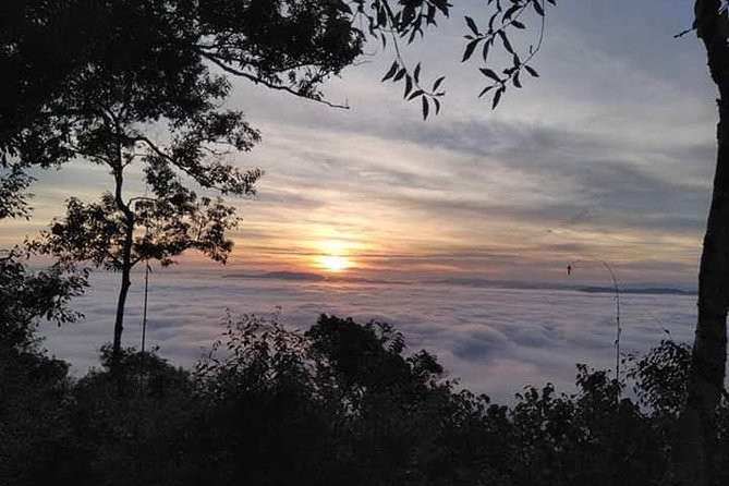 The Ultimate Hiker’s Choice - 5 days forest trek with homestay and camping - Sleeping gear and meals: what’s included, what you must bring