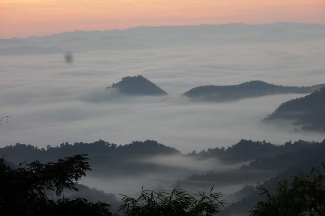 The Wild Explorer - 3 days forest trek with homestay and camping - Meals built from the forest (and cooked in bamboo tubes)