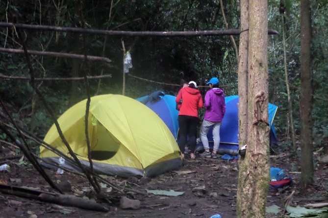 The Wild Explorer - 3 days forest trek with homestay and camping - Guide impact: what to look for in real jungle guiding