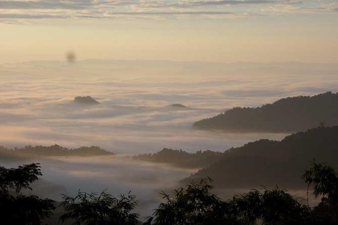 The Wild Explorer - 3 days forest trek with homestay and camping - Camping on a stream near a mountain peak