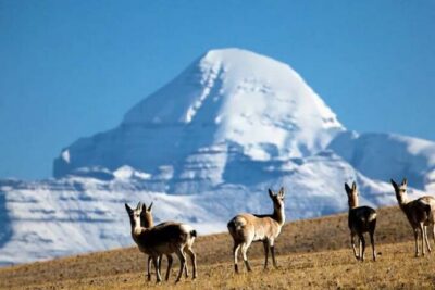 Tibet Tour 15 Days Lhasa to Kailash Trekking Small Group via EBC - Permits, visas, and what’s actually taken care of