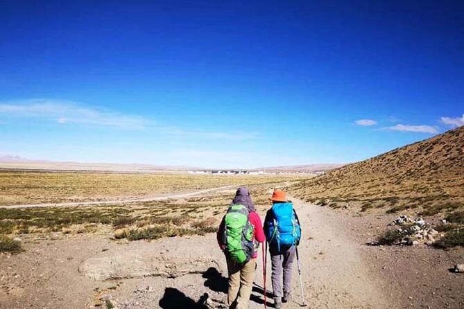 Tibet Tour 15 Days Lhasa to Kailash Trekking Small Group via EBC - Saga and Manasarovar area: wetlands, grasslands, and altitude rhythm