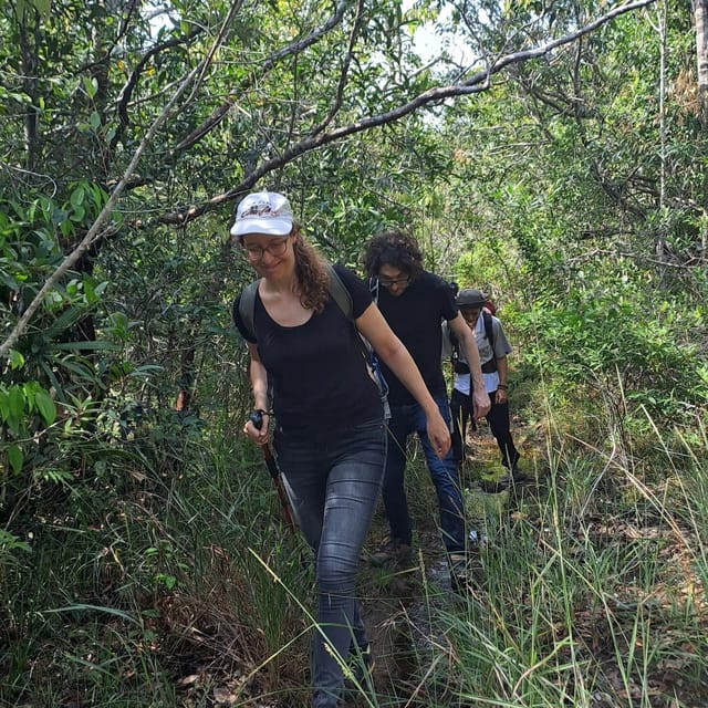 Tien Son Dinh 1-Day Trekking Tour Phu Quoc - The guide makes the difference: licensed bilingual care on a small-group trek