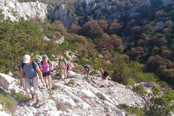 Tiscali mount guided hike - Midday rhythm: a narrow cleft and the valley reveal