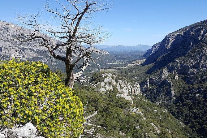 Tiscali mount guided hike - The doline moment: seeing the cave window inside and out