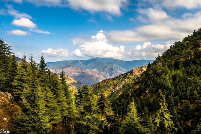 Top Tibba Trek - Mussoorie - Price and value: $33.56 per person for a guided peak hike
