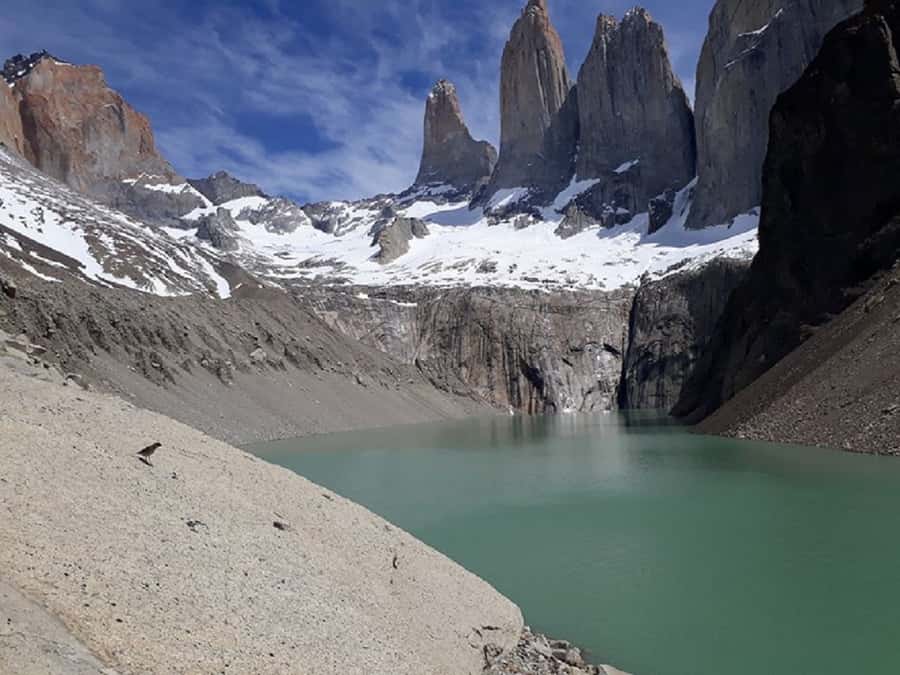 Torres del Paine: Full-Day Trekking Excursion - Trail Walkthrough: From Asencio River to Refugio El Chileno