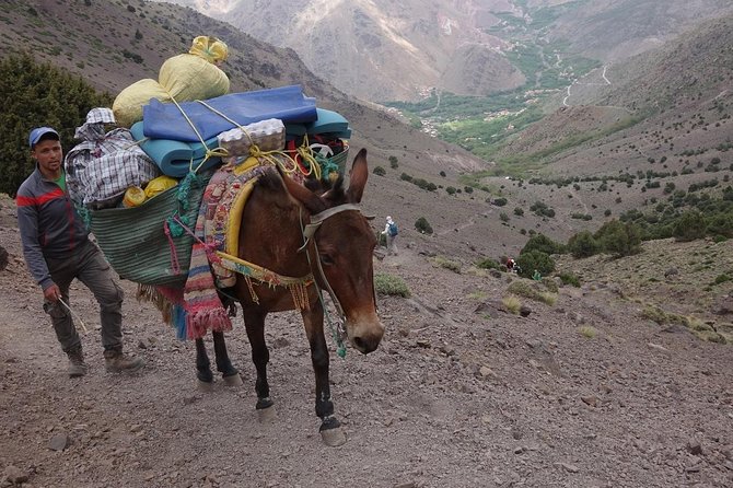 Toubkal Ascent Trek - Atlas Mountains - 2 days (Private Trek) - The Sidi Chamharouch stop and the climb to Toubkal Refuge