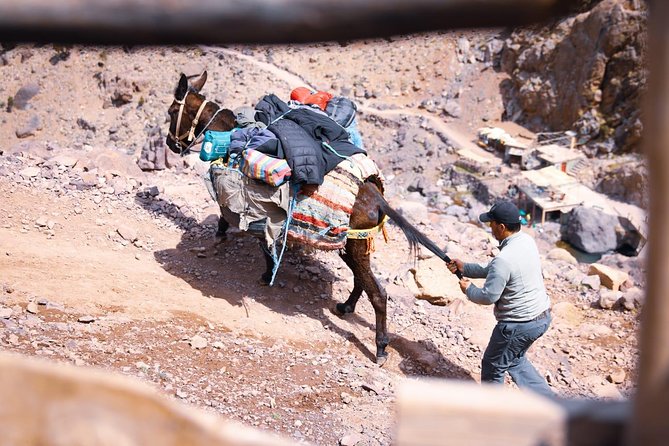 Toubkal Trekking 2 Days - Price and Value: Is $210.53 a Good Deal for Two Days?