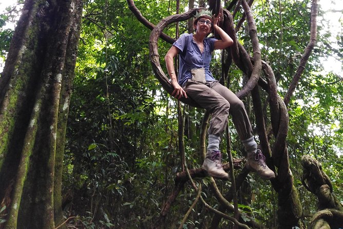 TOUR PACKAGE (Taxi, Room, Jungle Trekking) 3 Days in BUKIT LAWANG - Day 2 in Gunung Leuser: jungle trekking for orangutans, then traditional rafting