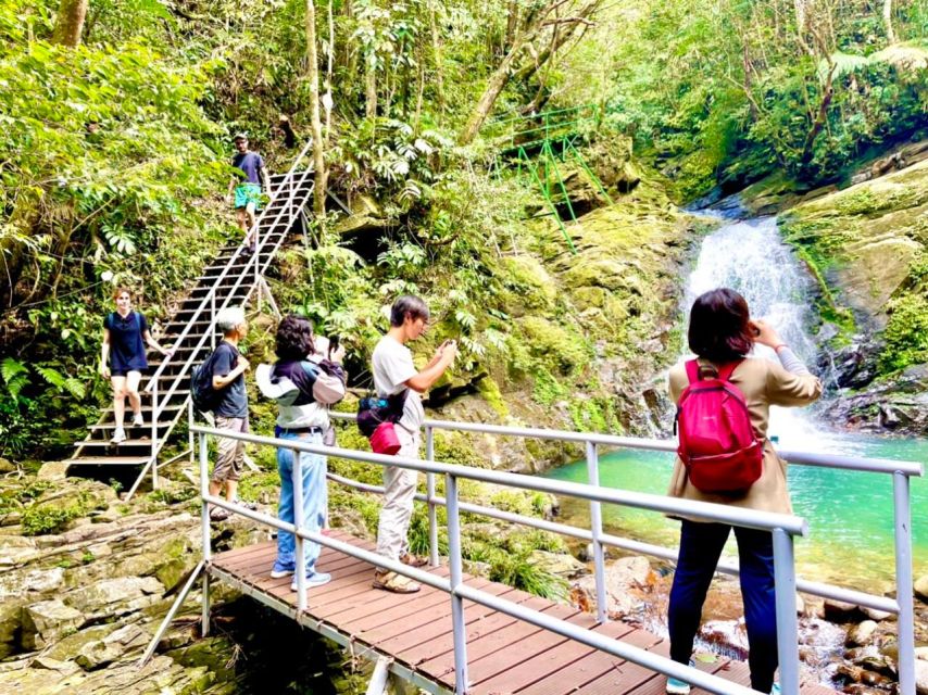 TOUR TREKKING HUE - BACH MA NATIONAL PARK DAILY - Entering Bach Ma: Why This Park Feels Like a Different World