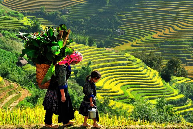 Trek Adventure in Ta Van Village, Lao Chai - Why Lao Chai–Ta Van feels calmer than central Sapa