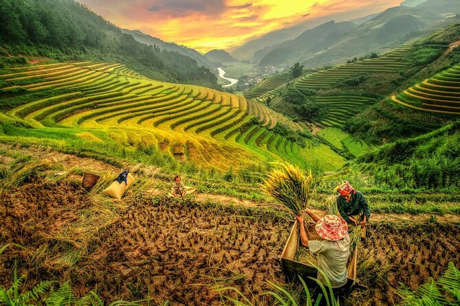 Trek Adventure in Ta Van Village, Lao Chai - How hard is this trek, and what should you wear?