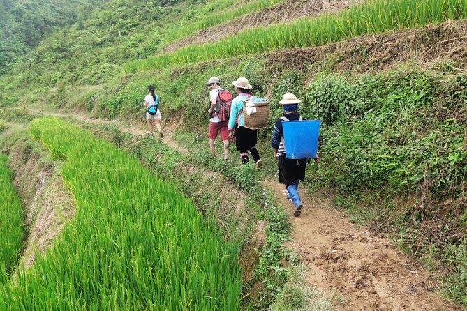 Trek Adventure in Ta Van Village, Lao Chai - Price and value: is $29 a good deal?
