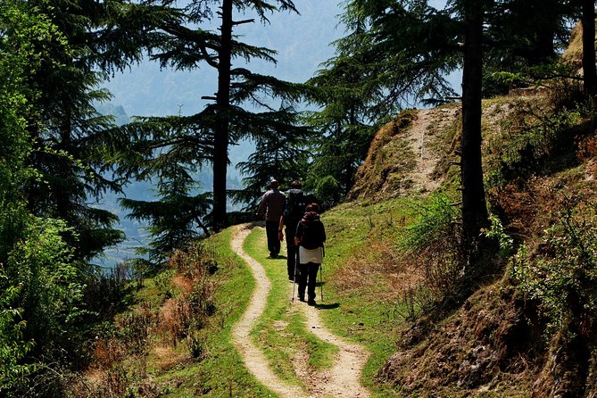 Trek's around Mussoorie - Key Highlights You’ll Actually Feel