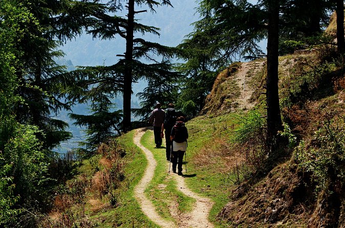 Trek's around Mussoorie - Jungle Cooking Over a Fire Stove: The Best Kind of Lunch Break