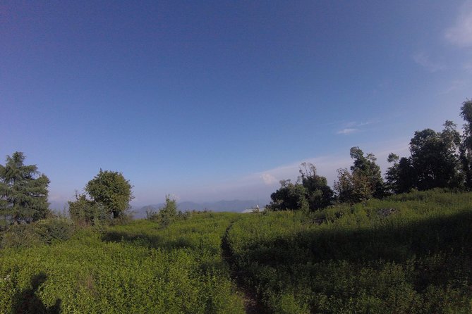 Trek's around Mussoorie - Timing and Duration: How to Plan Around a ~4-Hour Window