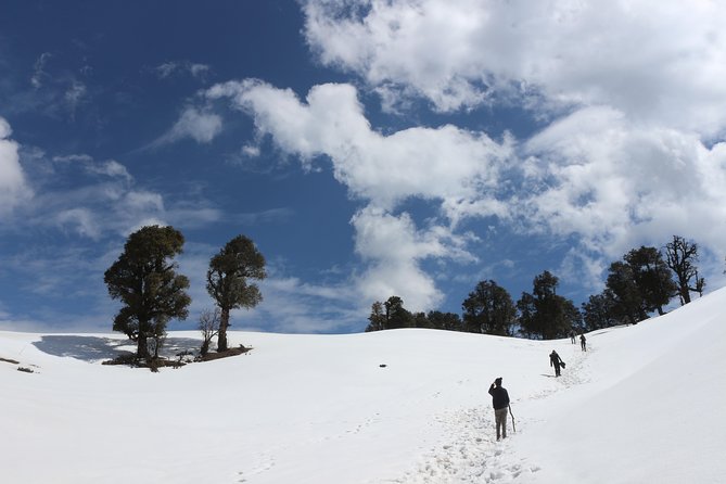 Trek's around Mussoorie - The Trek Itself: No Getting Lost, Plus a 360° View Stop