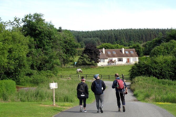Trek the Tombs and Trails in the Dublin Mountains - Panoramic Views Over Dublin and the Bay: The Real Payoff