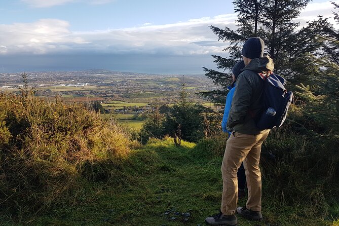 Trek the Tombs and Trails in the Dublin Mountains - Wild Berry Picking: A Seasonal Moment You Can Taste