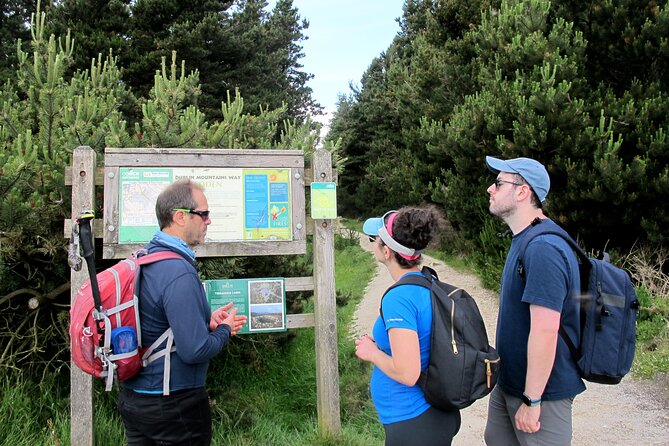 Trek the Tombs and Trails in the Dublin Mountains - How Long Is It Really, and What Fitness Level Works?