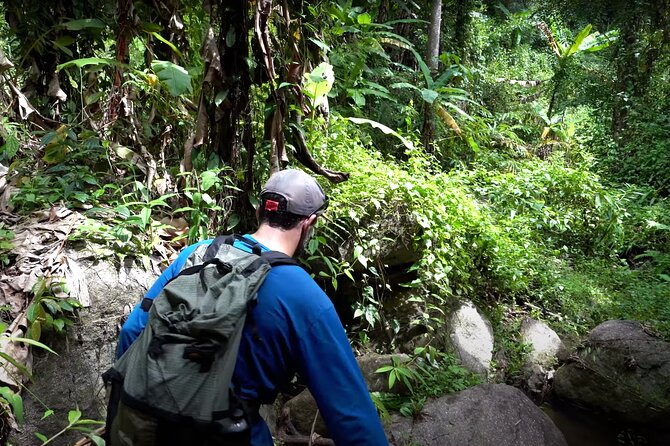Trek to a Jungle Waterfall - Jungle Trek, Then a Real Waterfall Stop in Chiang Mai