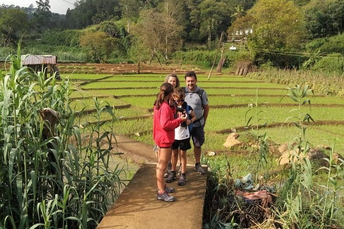 Trek to Little Adam's Peak and Nine Arches Bridge In Ella - Little Adam’s Peak and Nine Arches: what this tour really delivers