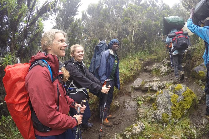 Trek To Mount Kilimanjaro - Lemosho on a Short Schedule: What a 2-Day Kilimanjaro Trek Really Means