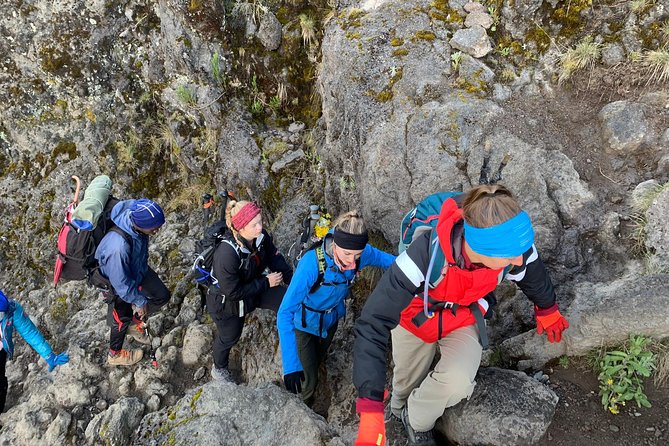 Trek To Mount Kilimanjaro - Day 1 in Kilimanjaro National Park: 8 Hours of Park Power