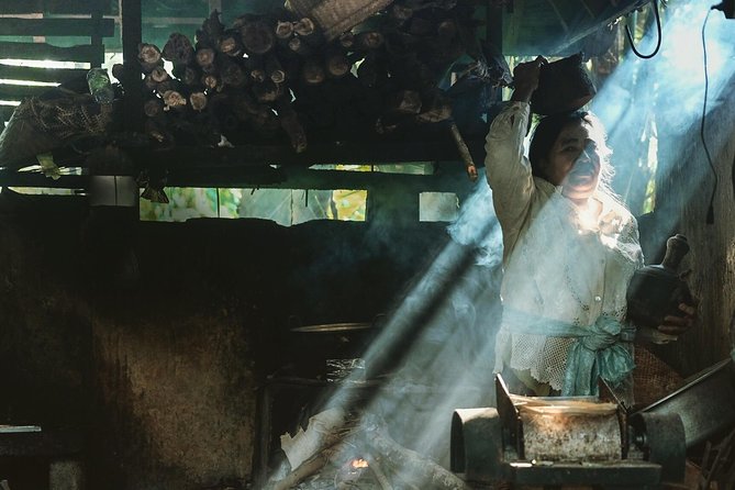 Trekking and Sightseeing tour with lunch - From Ubud pickup to a full day outdoors