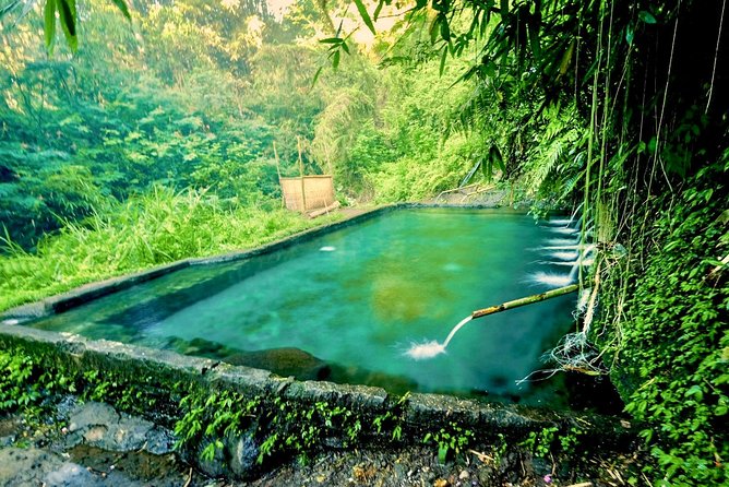 Trekking and Sightseeing tour with lunch - Tirta Empul Temple: holy water, purification, and respectful time