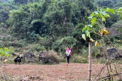 Trekking Ban Gioc Waterfall to Hidden Village on Unique Route - Coming back by a different way: two-day route design that feels smarter