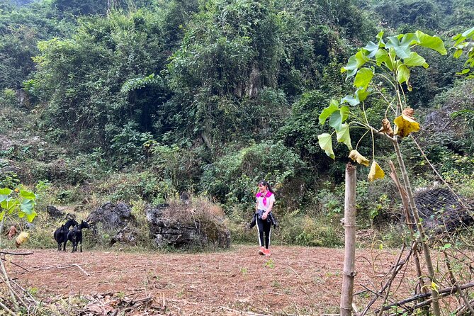 Trekking Ban Gioc Waterfall to Hidden Village on Unique Route - Coming back by a different way: two-day route design that feels smarter