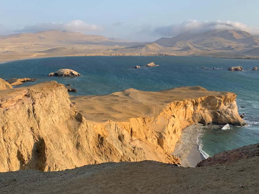 TREKKING GOLDEN SHADOWS - Wildlife and flora viewing: how to make the desert pay attention back