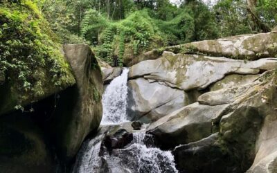 Trekking History and Indigenous Heritage in Minca + Cacao & Coffee + Waterfall - From Parque de Minca to Trail Time: The Start Matters