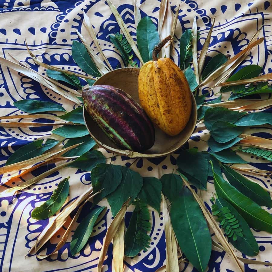 Trekking History and Indigenous Heritage in Minca + Cacao & Coffee + Waterfall - The Tayrona Connection You’ll Actually Remember