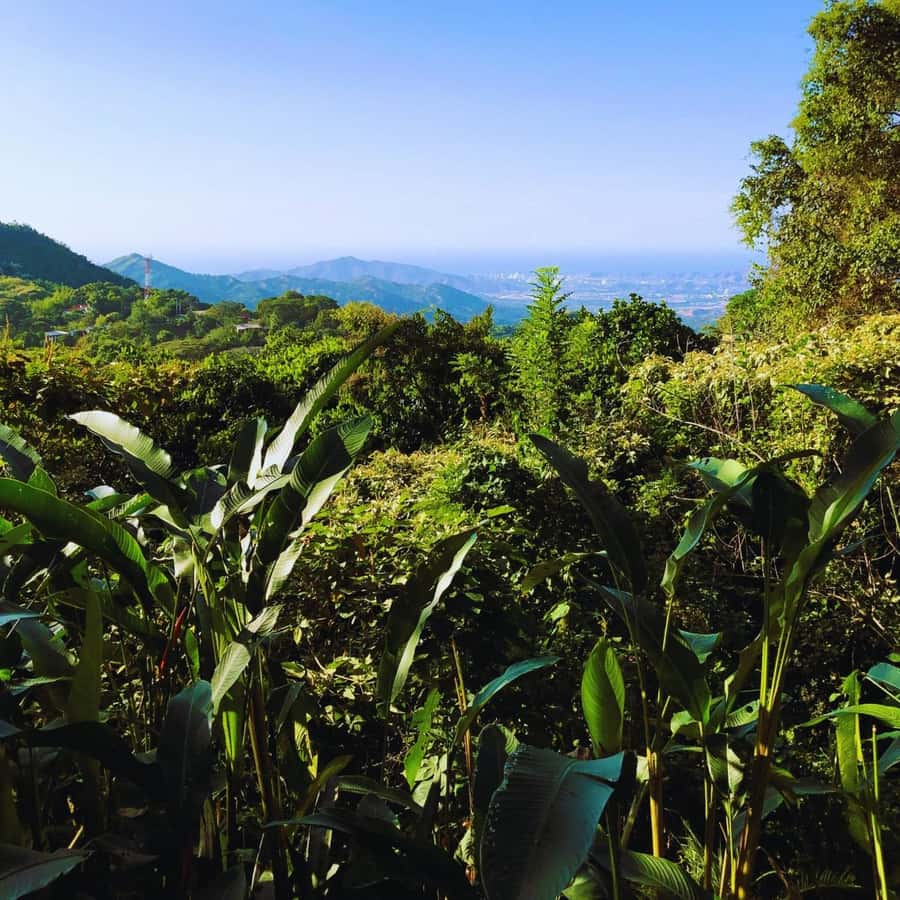 Trekking History and Indigenous Heritage in Minca + Cacao & Coffee + Waterfall - Logistics That Affect Your Comfort (and Your Enjoyment)