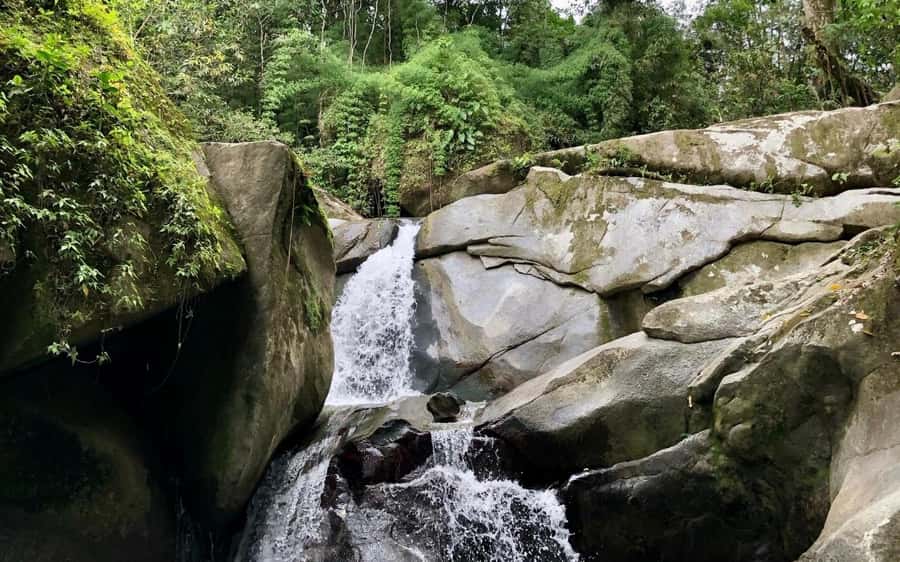 Trekking History and Indigenous Heritage in Minca + Cacao & Coffee + Waterfall - From Parque de Minca to Trail Time: The Start Matters