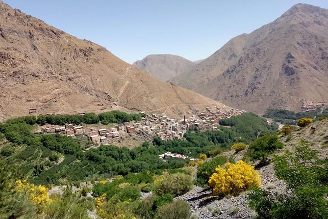 Trekking in Morocco / Atlas Mountains and Sahara Trek (5days) - Day 5: Sunrise dunes, a final camel ride, then back to Marrakech