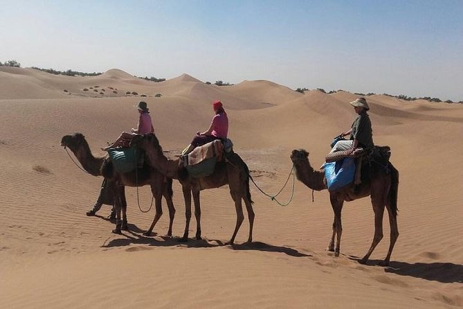 Trekking in Morocco / Atlas Mountains and Sahara Trek (5days) - Price and value: what $576.88 buys you (and what it doesn’t)