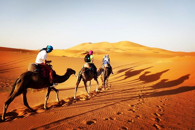 Trekking in Morocco / Atlas Mountains and Sahara Trek (5days) - Guides, small groups, and why the trip feels organized