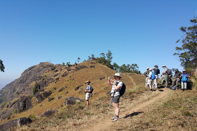 Trekking in Munnar - Key highlights at a glance
