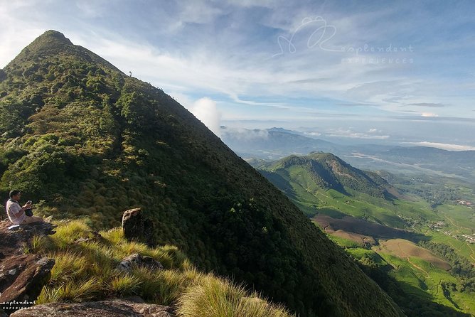 Trekking in Munnar - Entering Munnar’s tea country: what this trek feels like