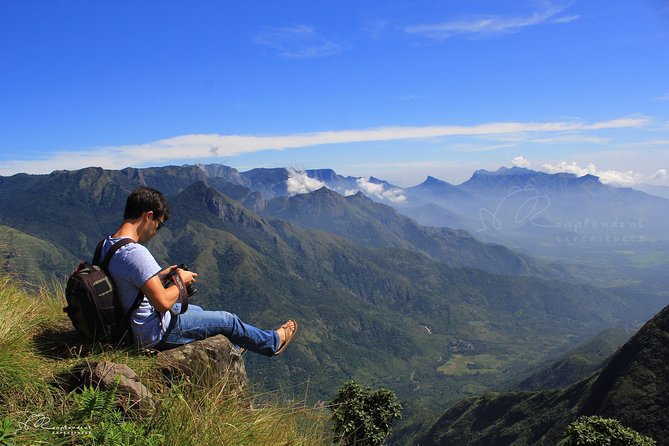 Trekking in Munnar - The wildlife and botany angle: why the guide matters