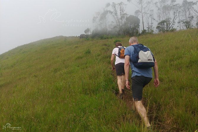 Trekking in Munnar - Getting to Resplendent Experiences in Nullatanni