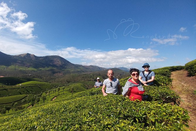 Trekking in Munnar - From 9:00 AM to the ridge: a clear itinerary you can picture