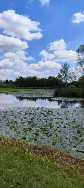 Trekking in the Wood with picnic on the turtles lake - Who This Tour Suits Best (and Who Might Skip It)