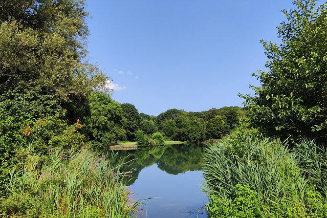 Trekking in the Wood with picnic on the turtles lake - Weather and flexibility: plan for the outdoor reality